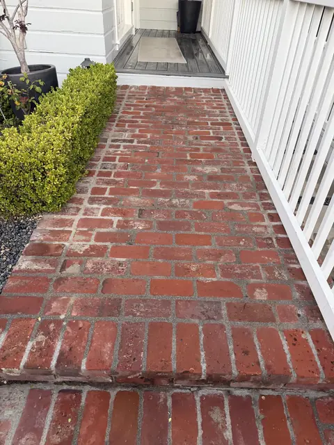 Brick walkway after cleaning, photo by Cassidy O.